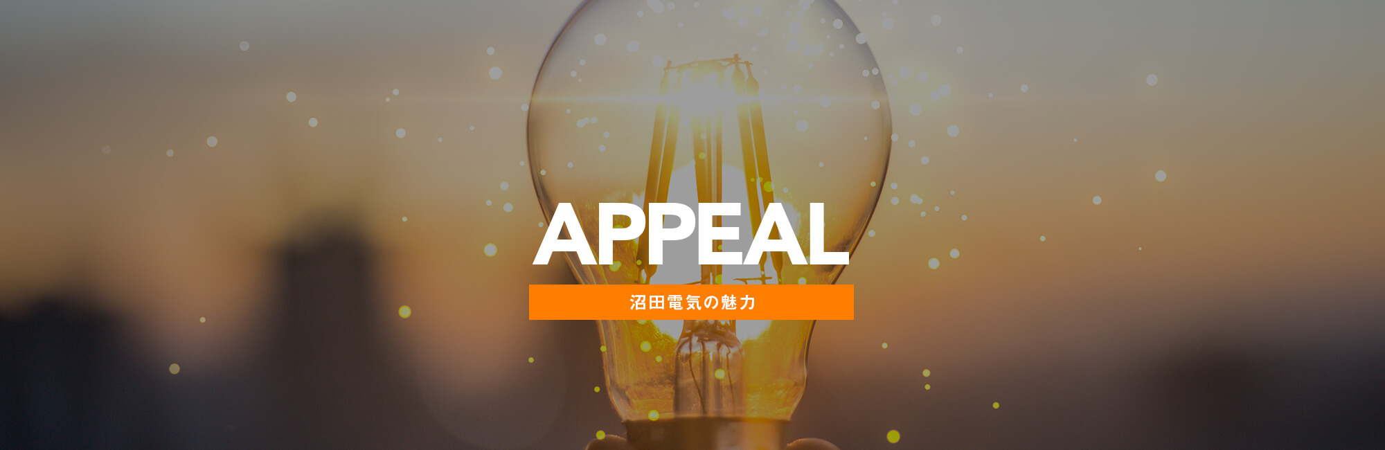 沼田電気の魅力